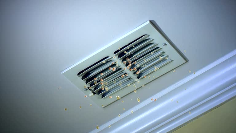 Best Affordable Duct Cleaning Services  in Paris, TX