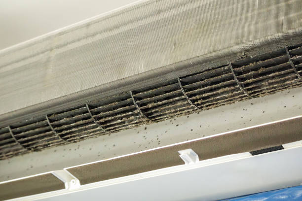 Best Home Air Vent Cleaning  in Paris, TX