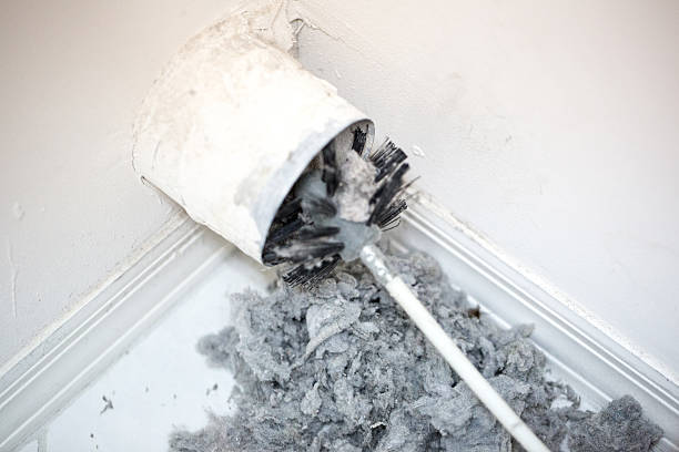 Best Local Air Duct Cleaning Services  in Paris, TX